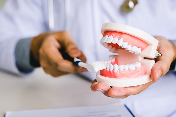 Types Of Teeth: Incisors, Canines, Premolars And Molars
